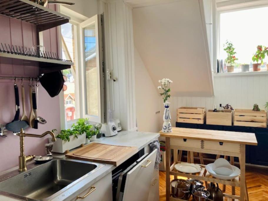 Big, Bright Apartment In The Center Of Zagreb Eksteriør billede