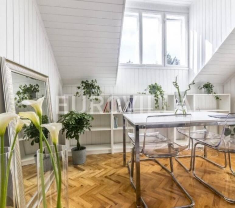Big, Bright Apartment In The Center Of Zagreb Eksteriør billede