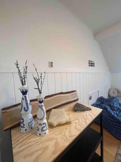 Big, Bright Apartment In The Center Of Zagreb Eksteriør billede