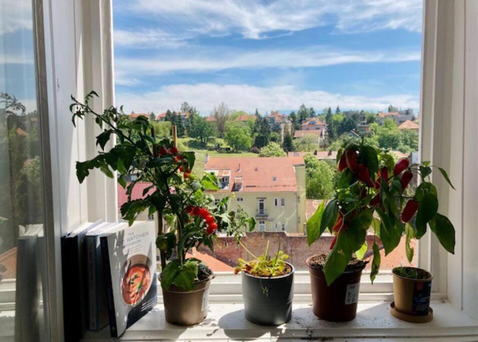 Big, Bright Apartment In The Center Of Zagreb Eksteriør billede