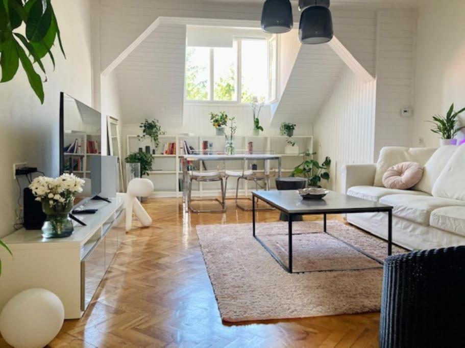 Big, Bright Apartment In The Center Of Zagreb Eksteriør billede