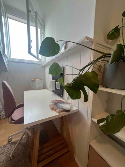 Big, Bright Apartment In The Center Of Zagreb Eksteriør billede